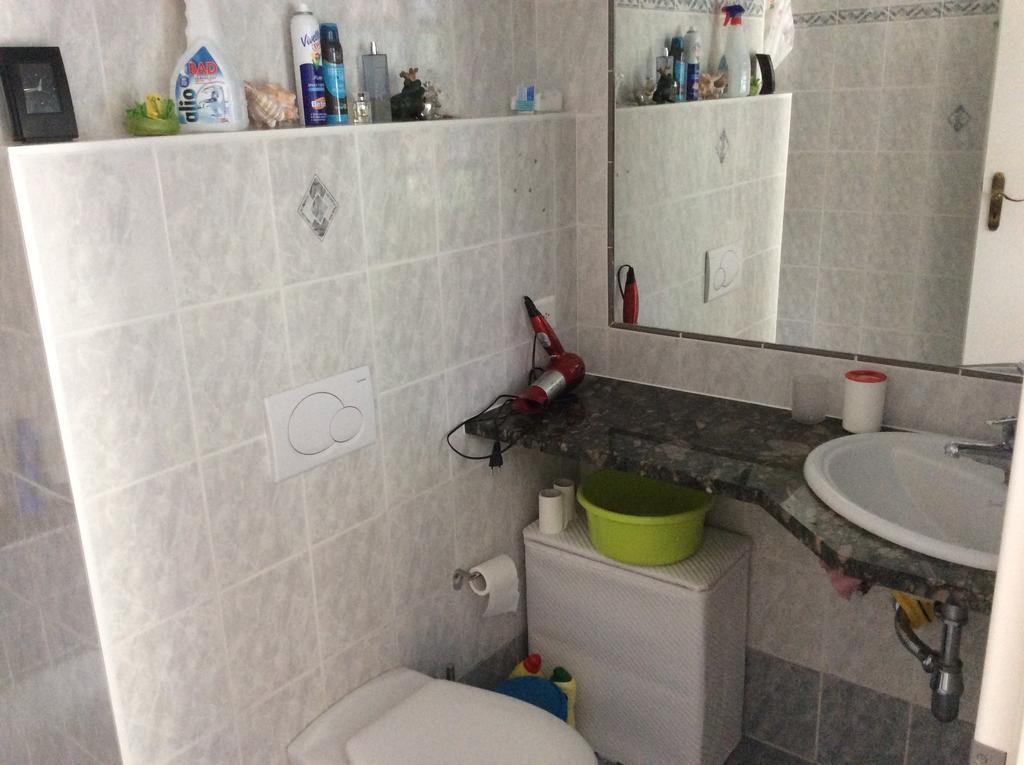 Apartment Alina Sigirino エクステリア 写真